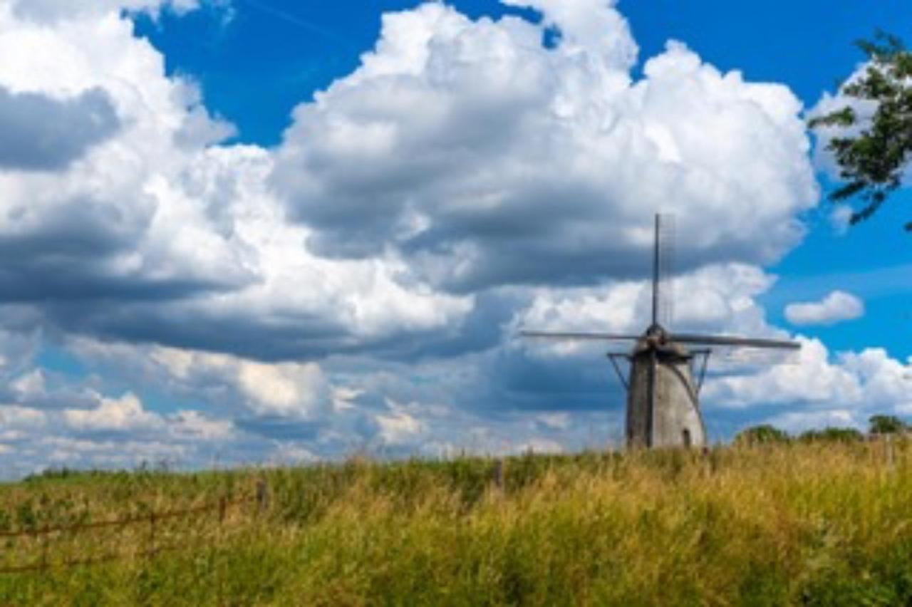 Vlaamse Ardennen Vakantiehuis Casa Caliente Met Wellness Avelgem Ngoại thất bức ảnh